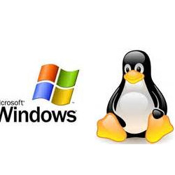 Linux and Windows