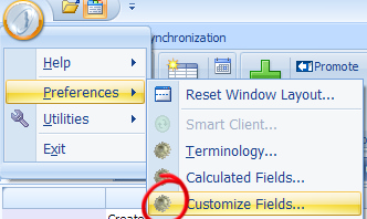 customize4 customize4