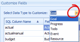customizefields3