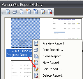 editreport editreport