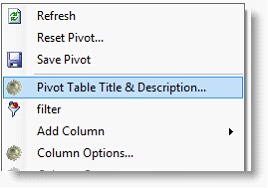 PivotTableTitleDescription