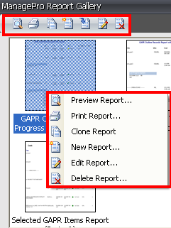 reportoptions3