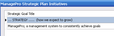 strategic plan1